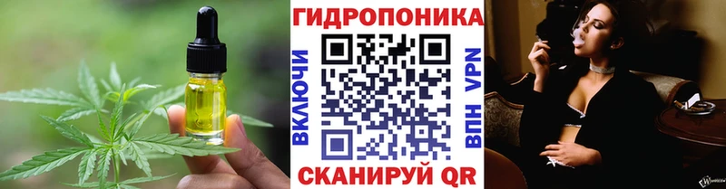 Купить где  Артёмовский  Canna-Cookies конопля 